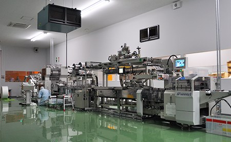 今後の展望及び計画